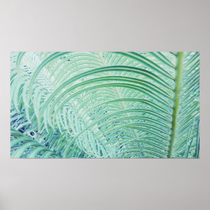 Stylish Soft Green Plant Palm Leaves Poster