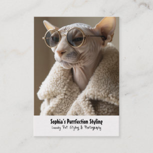 Stylish Sphynx Cat in Sunglasses and Sherpa Coat Business Card