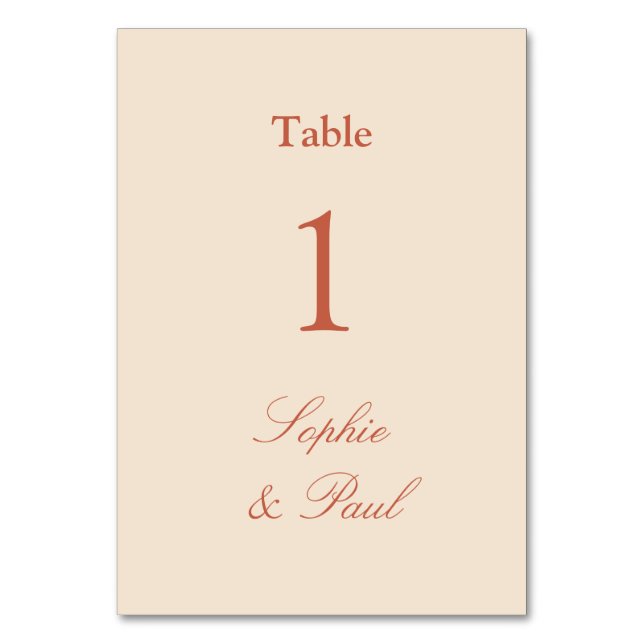 Stylish Terracotta Straw Beige Table Number (Front)
