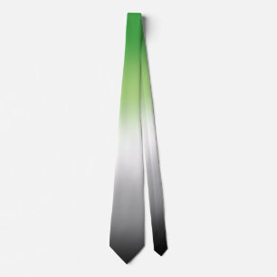 Stylish Unisex Aromantic Pride Flag Tie