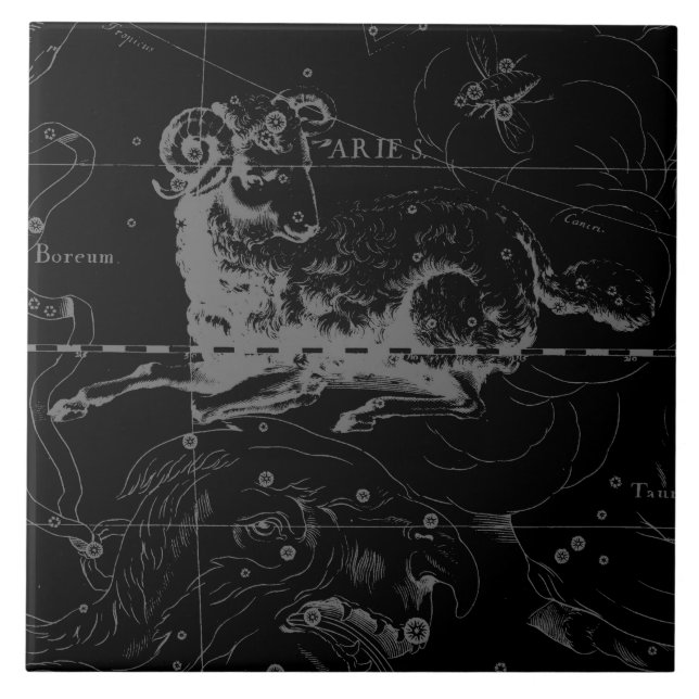 Stylish Vintage Aries Constellation by Hevelius Tile (Front)