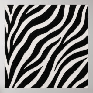 Stylish Zebra Print Poster Contemporary Decor