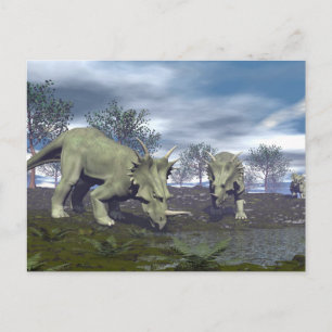 Styracosaurus dinosaurs going to water - 3D render Postcard