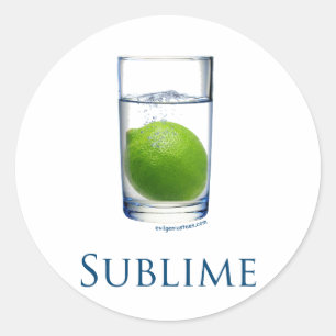 Sublime funny classic round sticker
