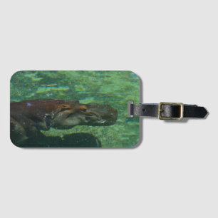 **"Submerged Serenity: A Hippo Swimming Gracefully Luggage Tag