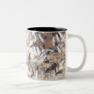 Subterainian Termites? Two-Tone Coffee Mug