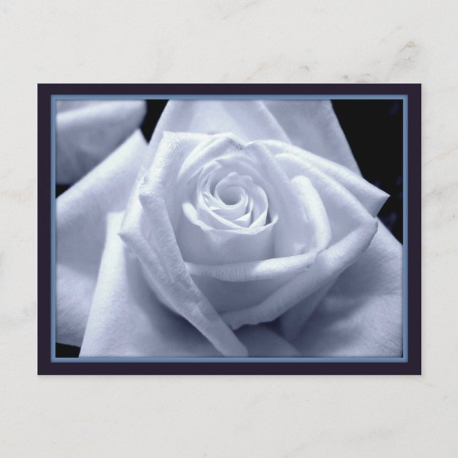 Subtle Blues Postcard (Front)