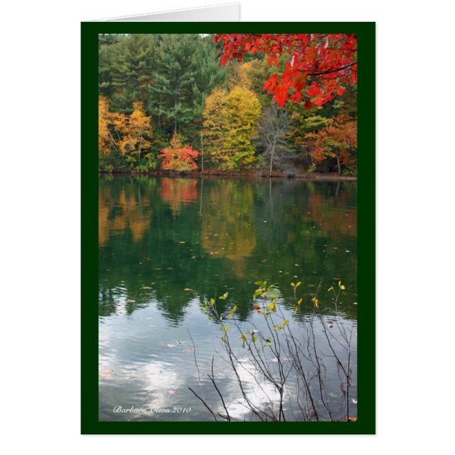 Subtle magnetism  in Nature: Walden Pond (Front)
