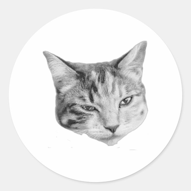 Subtle Wink Classic Round Sticker (Front)