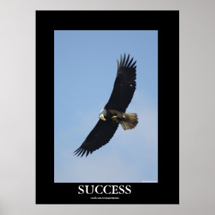 SUCCESS Bald Eagle Motivational Poster