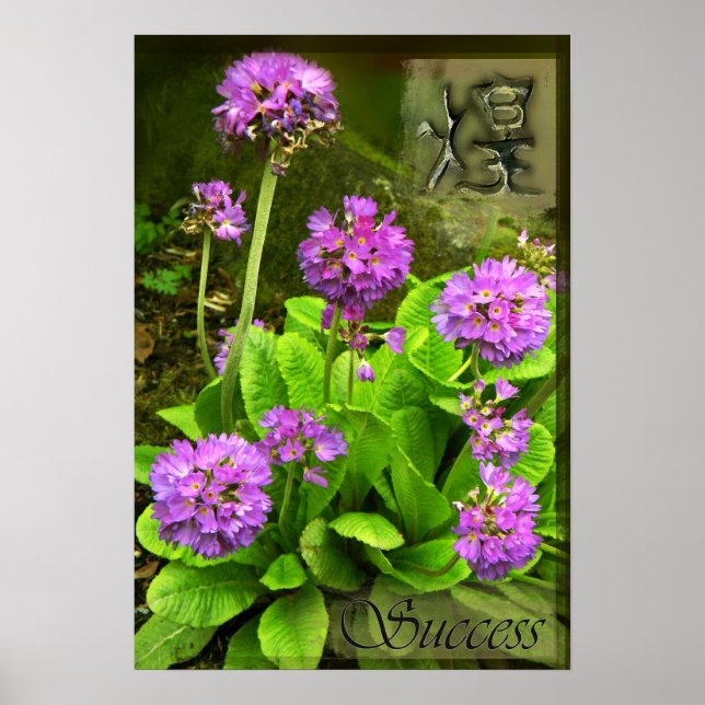 Success Poster (Front)
