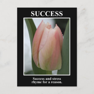Success rhymes with stress for a reason postcard