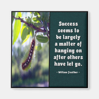 Success Seems To Be... Magnet