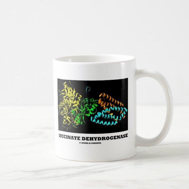 Succinate Dehydrogenase (Chemistry) Coffee Mug (Right)