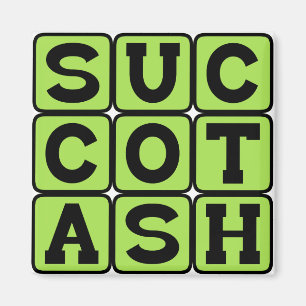 Succotash, Insufferable Corn & Lima Bean Dish Magnet