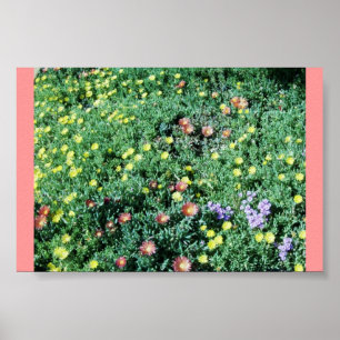 Succulant Bed Poster