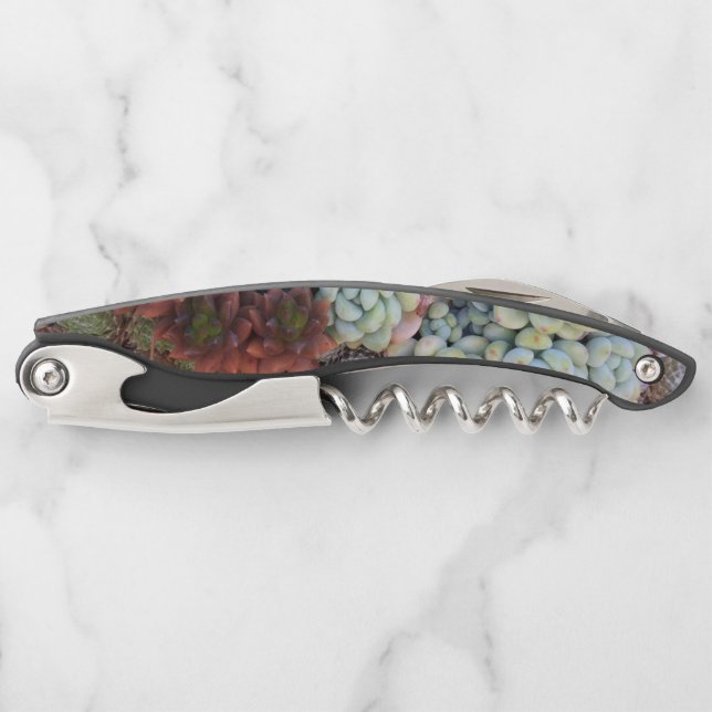 Succulen Galaxy Corkscrew (Front)