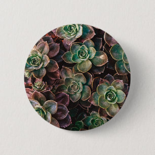 Succulent 6 Cm Round Badge