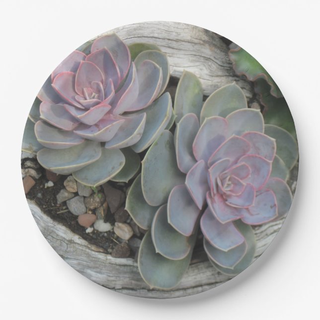 Succulent 9 Inch Paper Plate (Front)