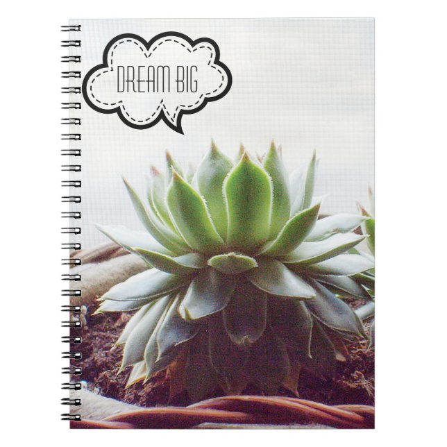 Succulent Aeonium Dream Big Quote Notebook (Front)