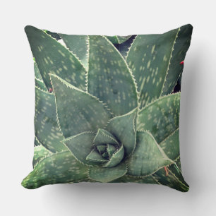 Succulent Aloe Plant Photography Cushion