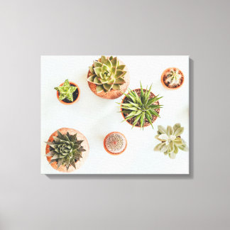 Succulent Artwork Canvas Print