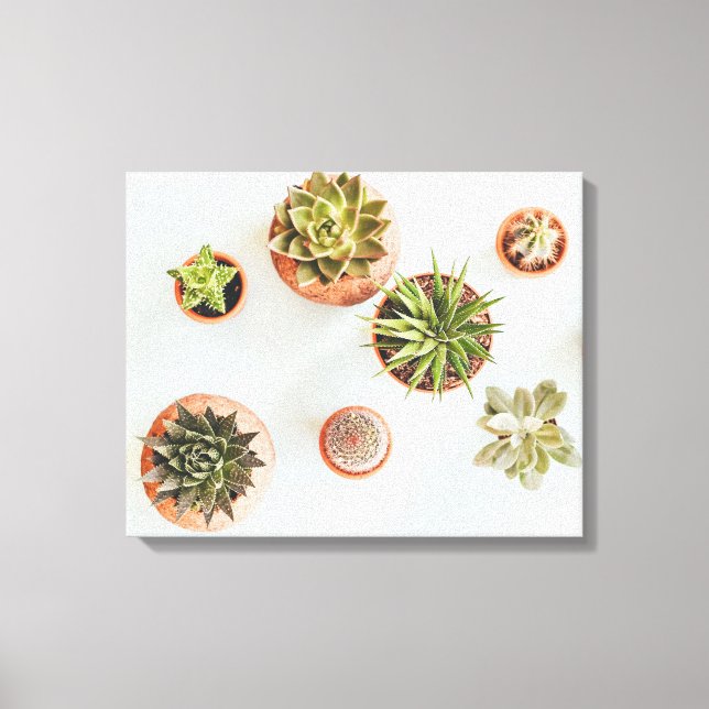 Succulent Artwork Canvas Print (Front)