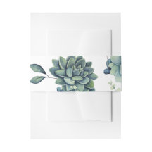 Succulent Belly Band