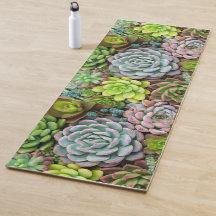 Succulent botanical garden arrangement