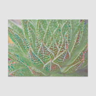 Succulent Cactus Plant Green Stained Glass Art Tissue Paper