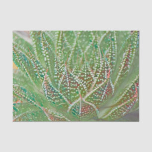 Succulent Cactus Plant Green Stained Glass Art Tissue Paper
