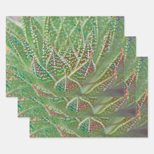 Succulent Cactus Plant Green Stained Glass Art Wrapping Paper Sheet