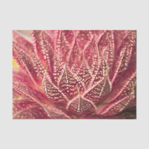 Succulent Cactus Plant Red Botanical Decoupage Tissue Paper