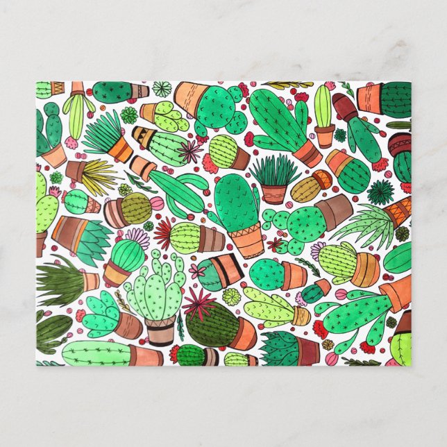 Succulent Cactus Potted Plants Green Cacti Garden Postcard (Front)