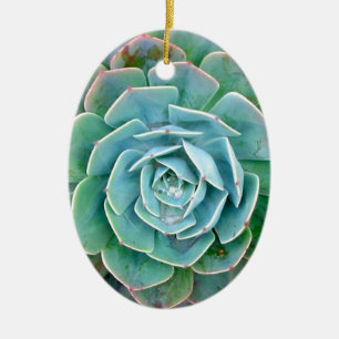 Succulent Ceramic Ornament