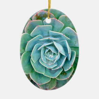 Succulent Ceramic Ornament