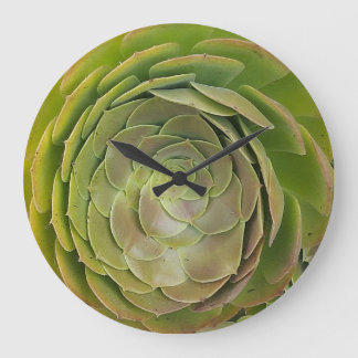 Succulent Clock