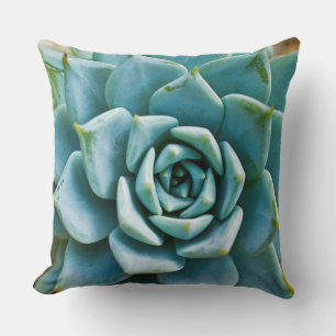 Succulent Closeup Cushion