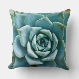 Succulent Closeup Cushion