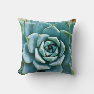 Succulent Closeup Cushion
