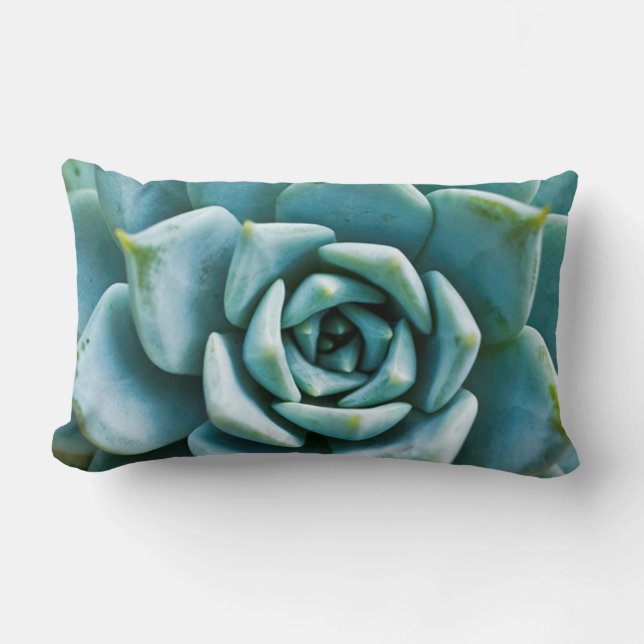 Succulent Closeup Lumbar Cushion (Front)