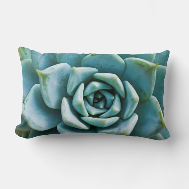 Succulent Closeup Lumbar Cushion (Front)