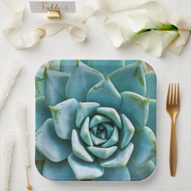 Succulent Closeup Paper Plate (Wedding)