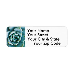 Succulent Closeup Return Address Label