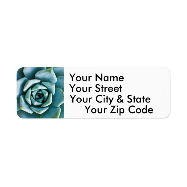 Succulent Closeup Return Address Label (Front)