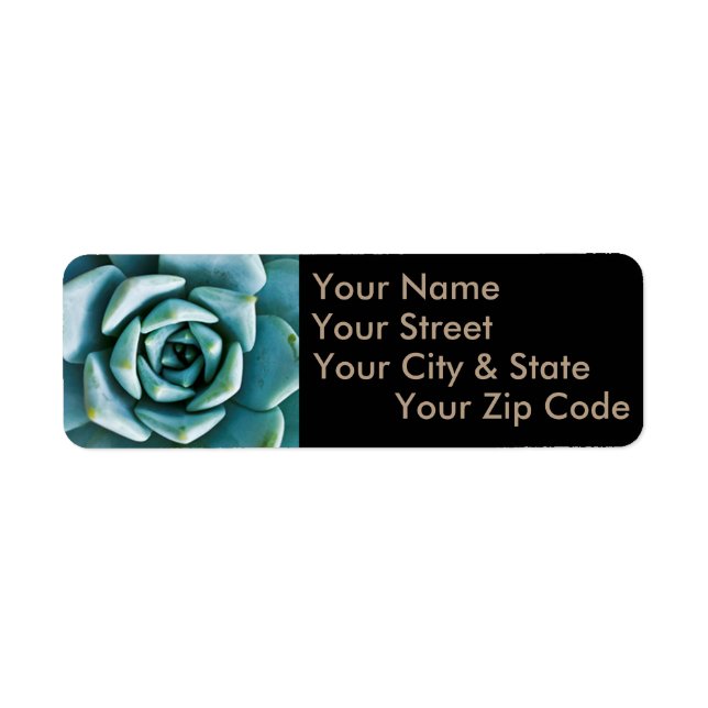 Succulent Closeup Return Address Label (Front)