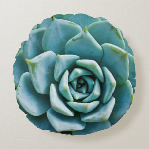 Succulent Closeup Round Cushion