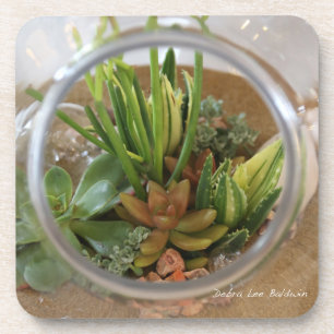Succulent coasters by Debra Lee Baldwin