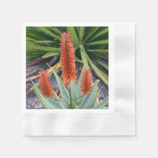 Succulent Cocktail Napkins