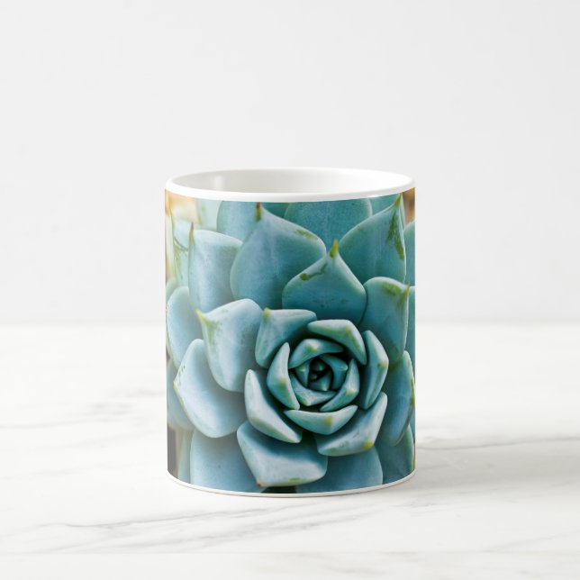 Succulent Coffee Mug (Center)